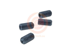 2 (03002) Винт 5*10