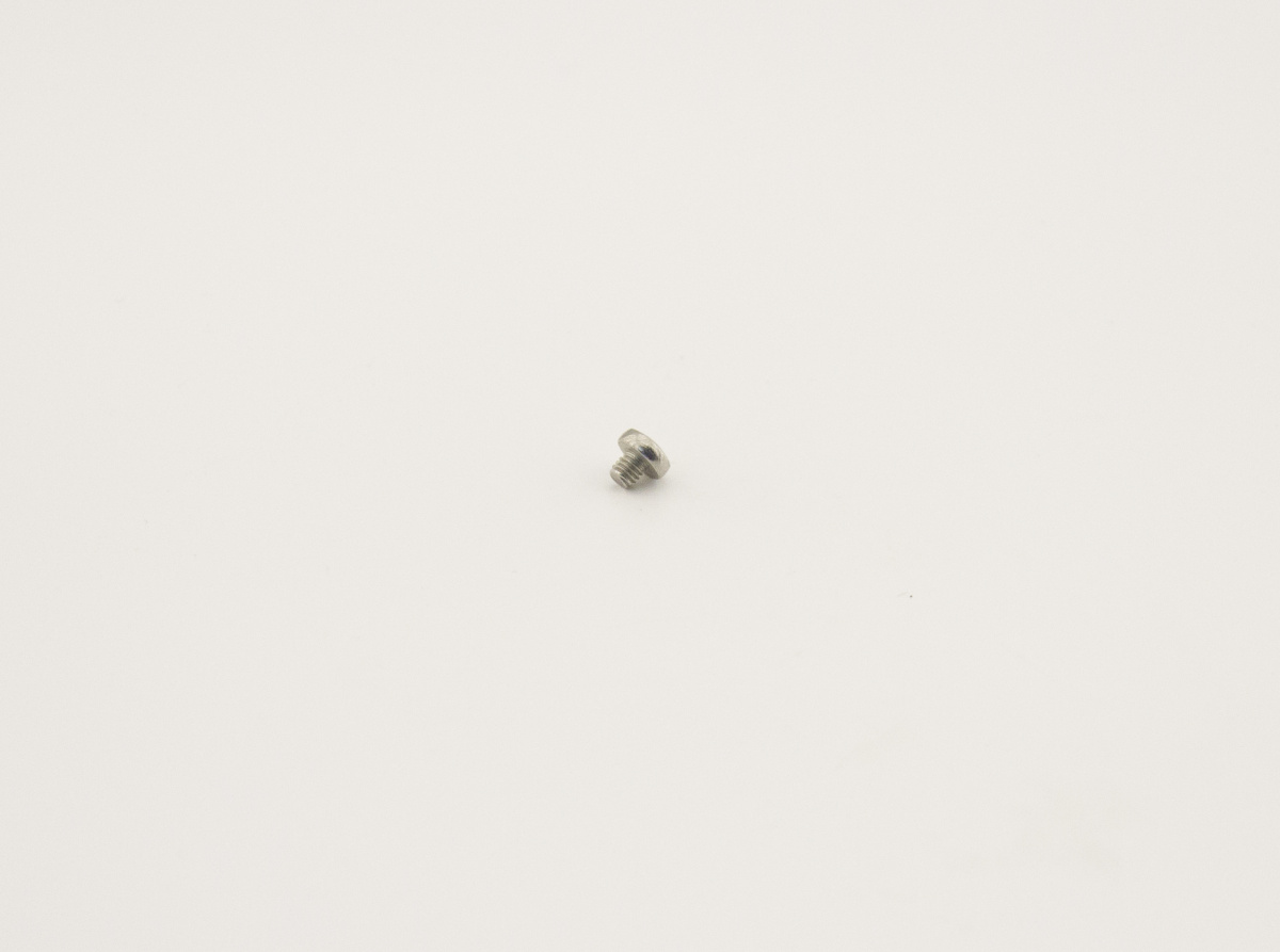 Винт 8.02.1.04  (M4x4)