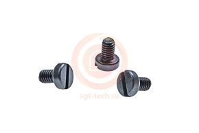 10009363 Винт (SM9/64х40)