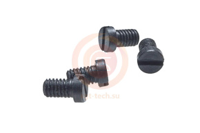 10078576 (SS-2090810-SP) Винт