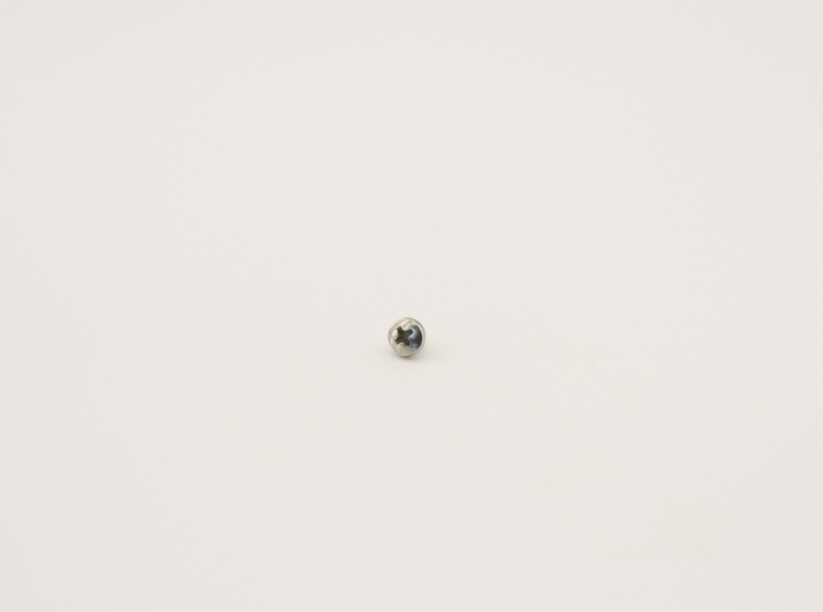 Винт 8.02.1.04  (M4x4)