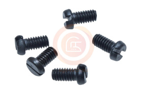 Винт 100080-003 (SS-7080510-TP/101S11006)