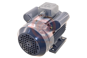 Двигатель 4F101019 (YL8034)